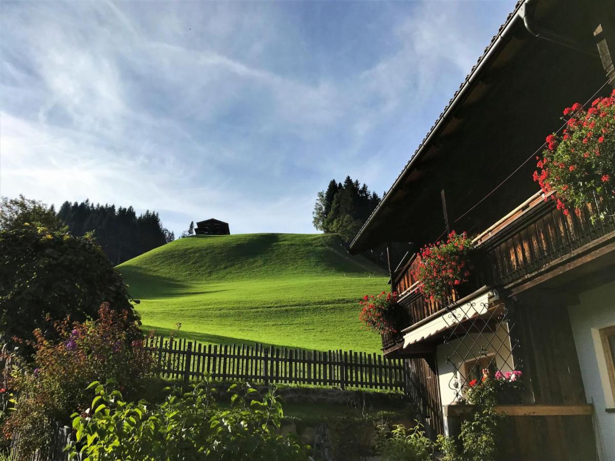 Apartment Chalet Edelweiss - Wil001 By Interhome Auffach Dış mekan fotoğraf