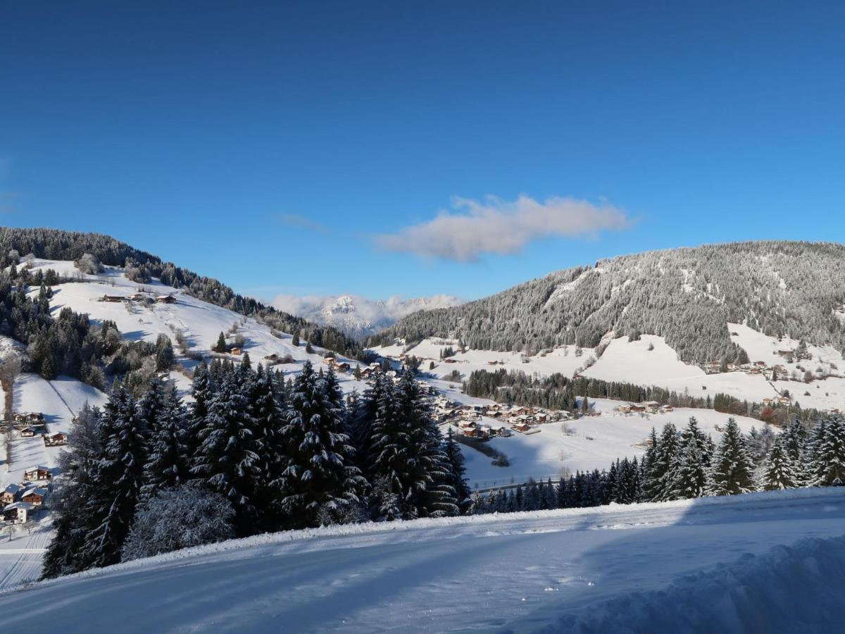 Apartment Chalet Edelweiss - Wil001 By Interhome Auffach Dış mekan fotoğraf