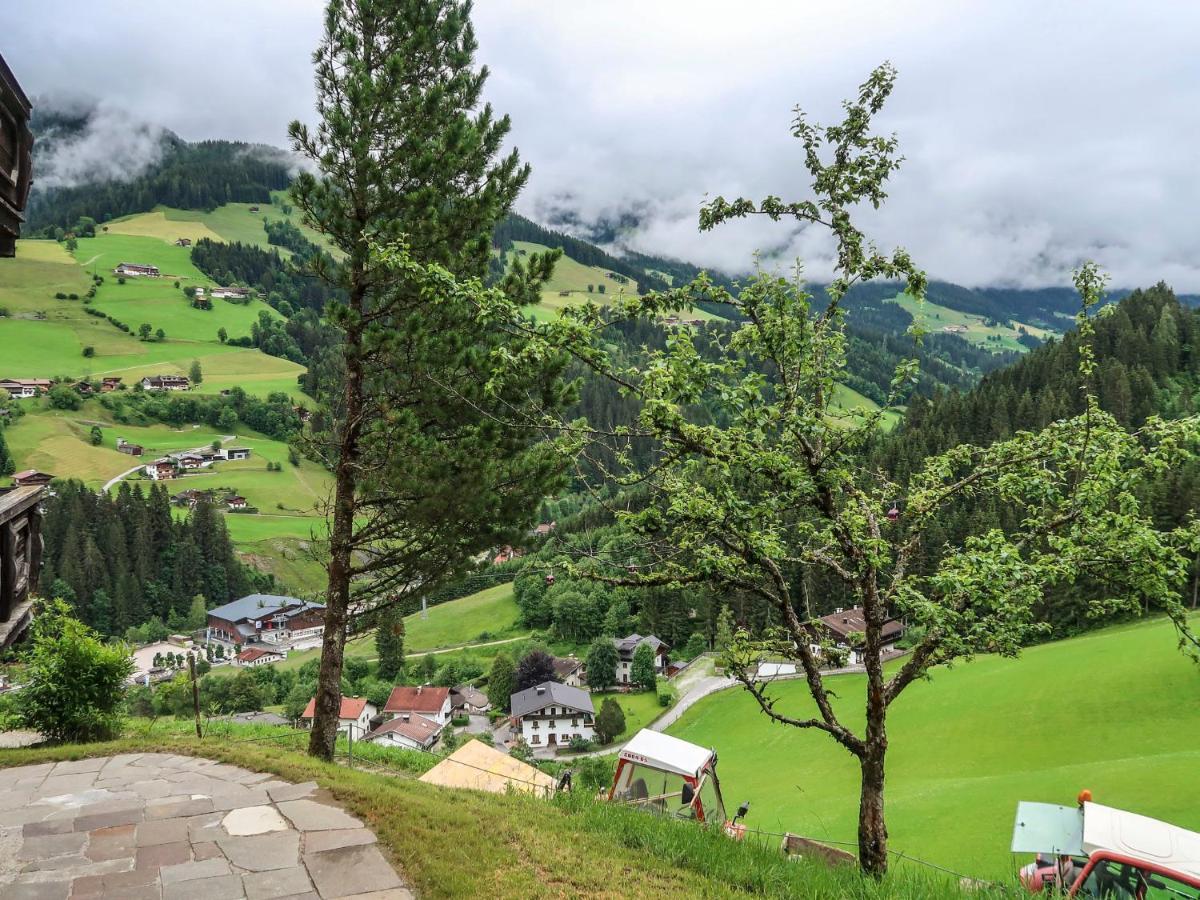 Apartment Chalet Edelweiss - Wil001 By Interhome Auffach Dış mekan fotoğraf