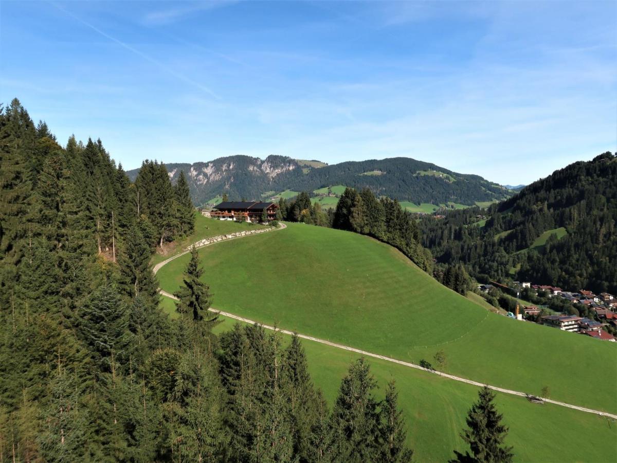 Apartment Chalet Edelweiss - Wil001 By Interhome Auffach Dış mekan fotoğraf
